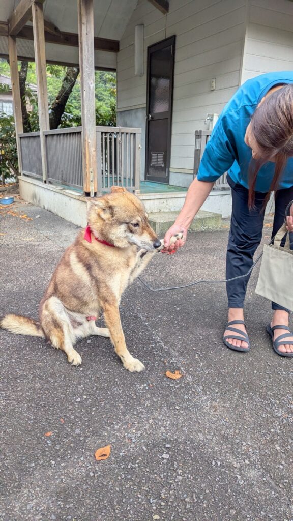お知らせサムネイル画像