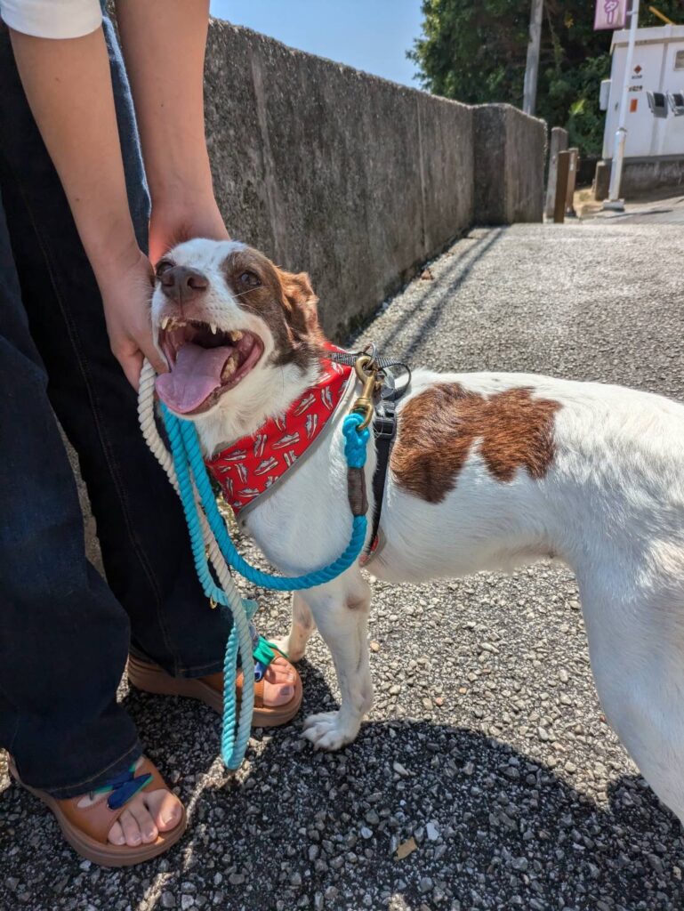 お知らせサムネイル画像