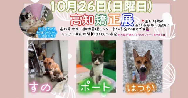 お知らせサムネイル画像