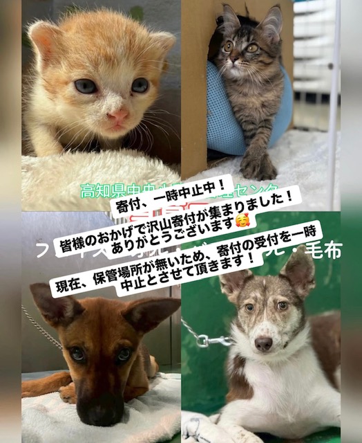 お知らせサムネイル画像