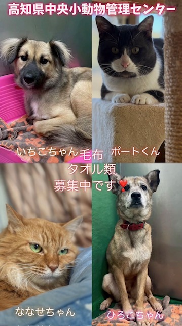 お知らせサムネイル画像