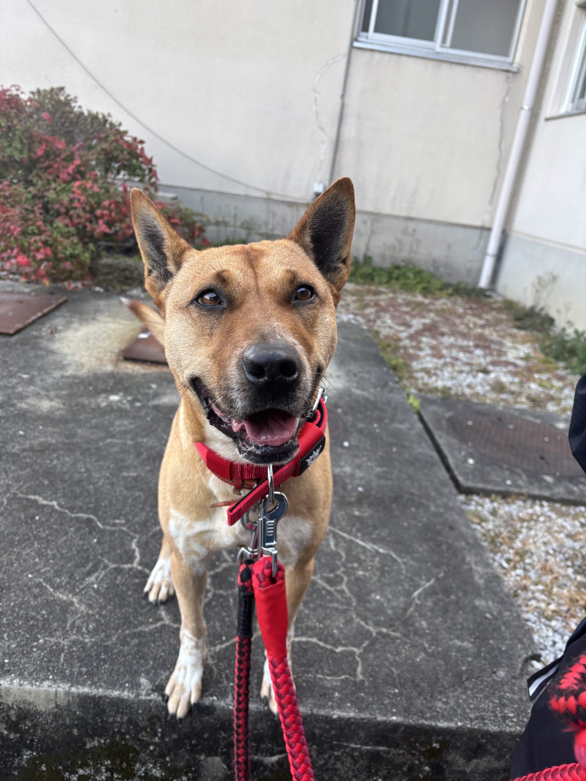 お知らせサムネイル画像